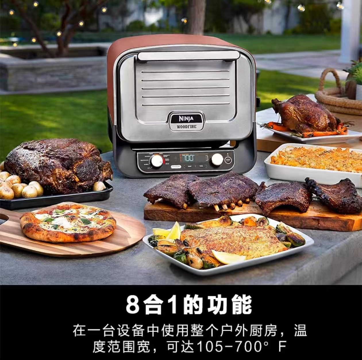 2026 Outdoor Pizza Oven for El - Camping Cooking Ovens recension och pris