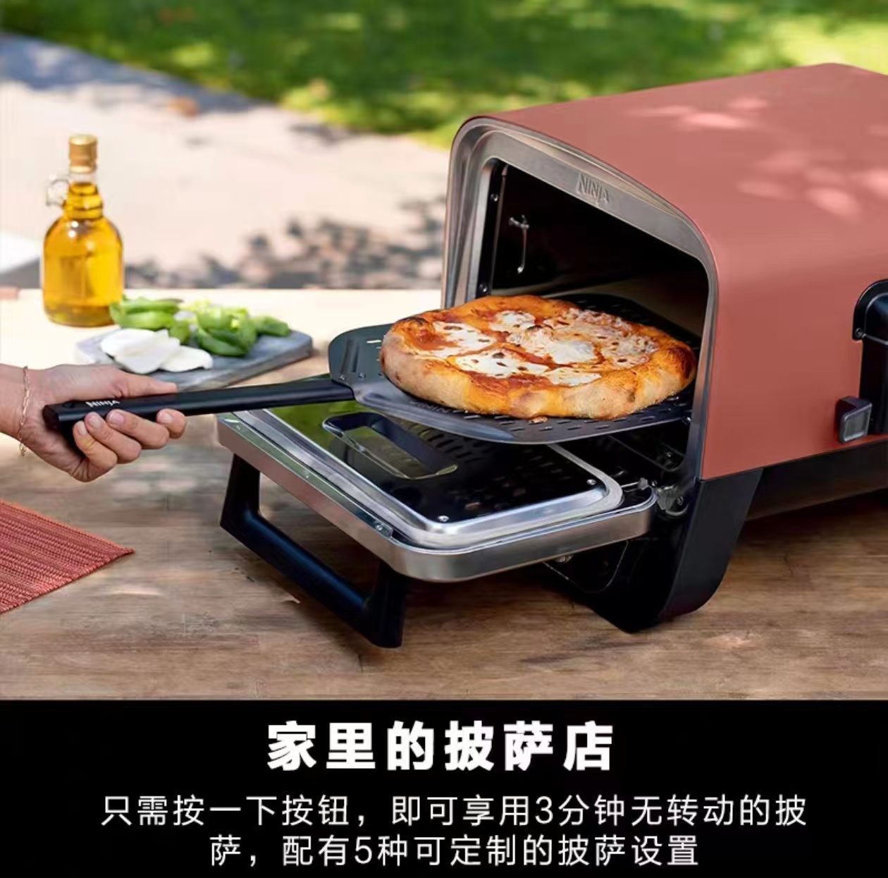 2026 Outdoor Pizza Oven for El - Camping Cooking Ovens recension och pris