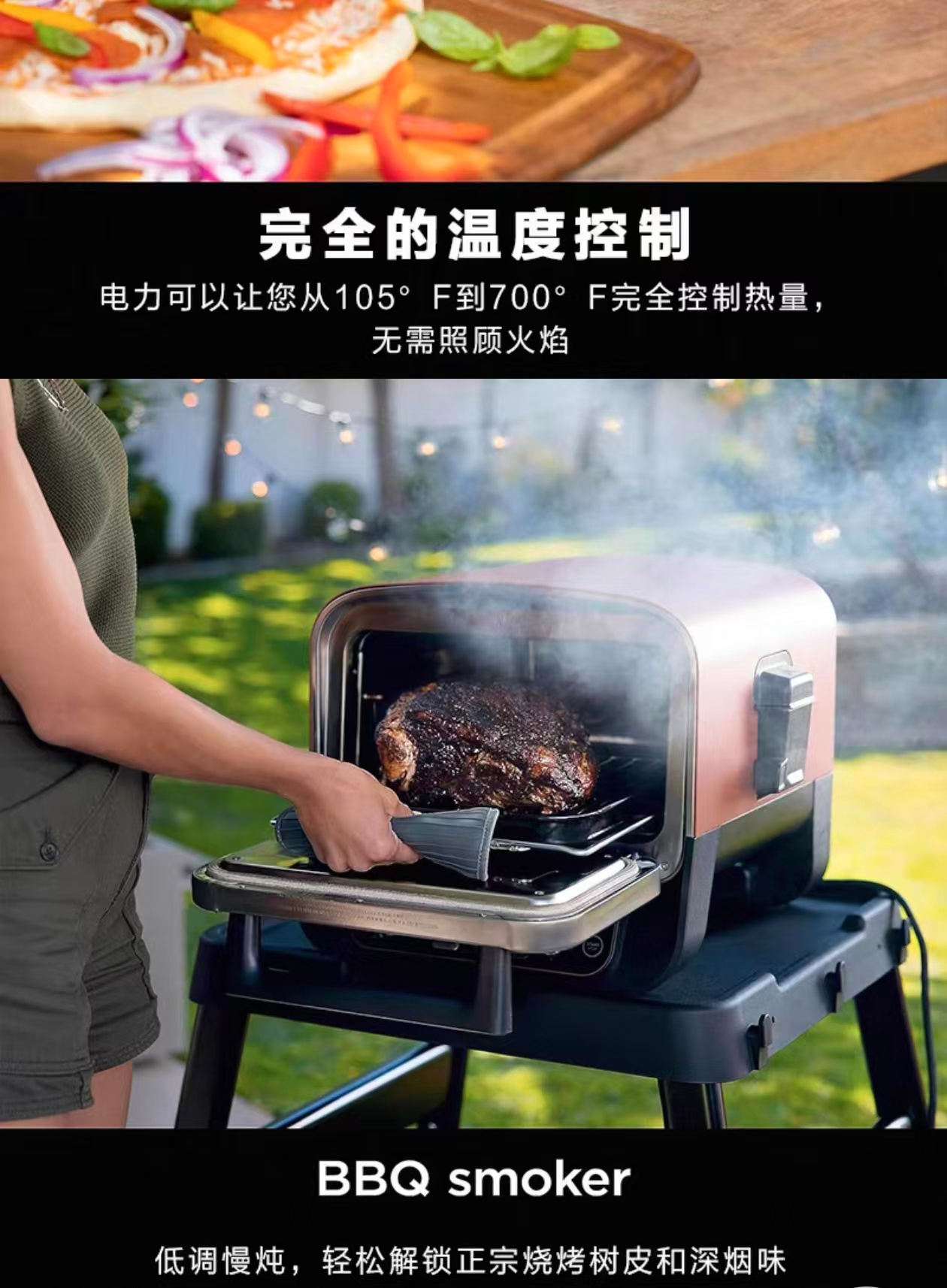 2026 Outdoor Pizza Oven for El - Camping Cooking Ovens recension och pris
